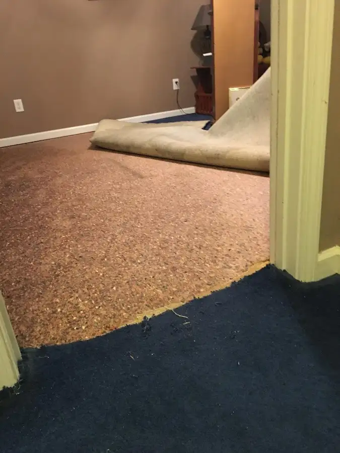 Carpet pad removal revealing water damage during Drying & Dehumidification in Conewago